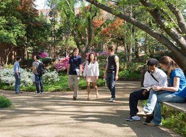 Students in a courtyard on campus.