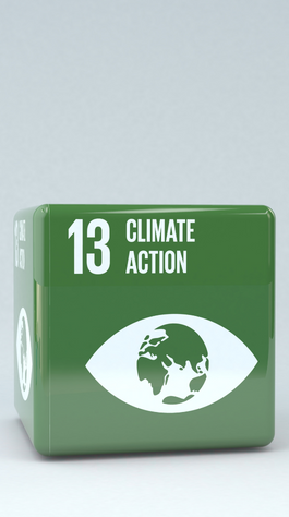green block with text reading: 13. Climate Action