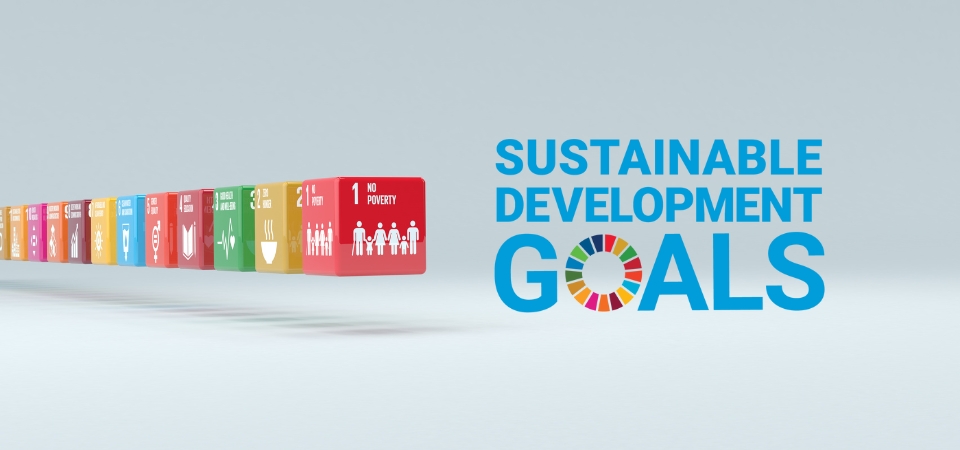 UN SDG