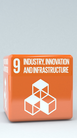 orange block with text reading: 9. industry, innovation, and infrastructure 