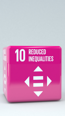 pink block with text reading: 10. reduced inequalities