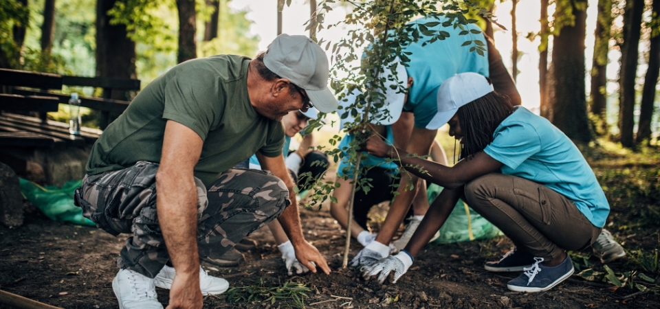 Volunteers planting trees.