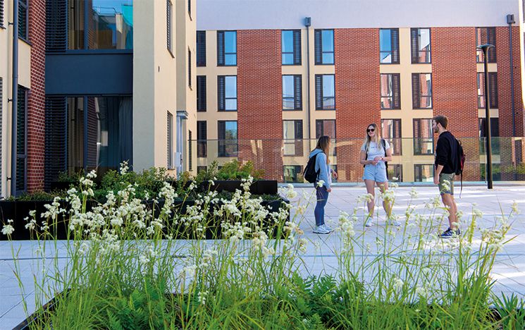Modern brick architecture on the University of Sussex campus
