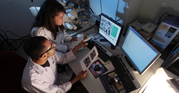 Two people looking at lab results