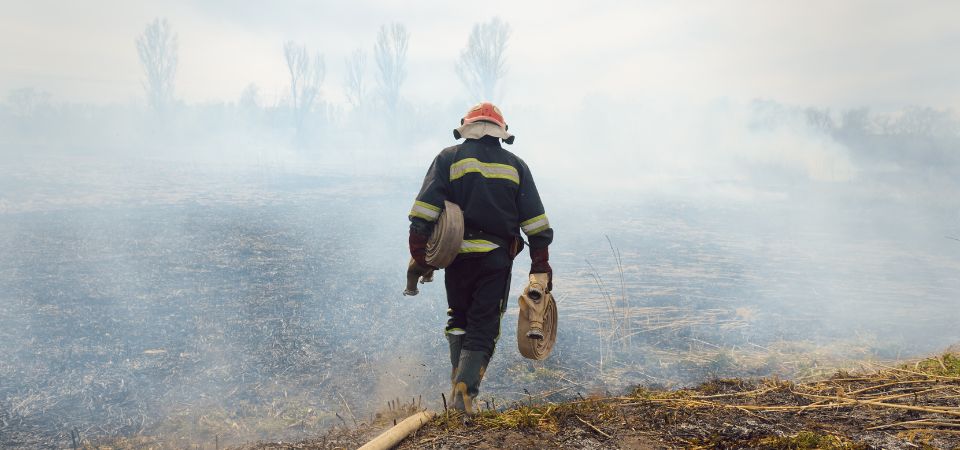The back of a firefighter in gear walking towards a smokey area that has been burned by wildfire.