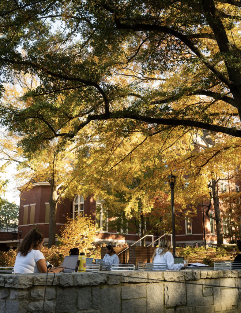 students studying outside on campus in the fall