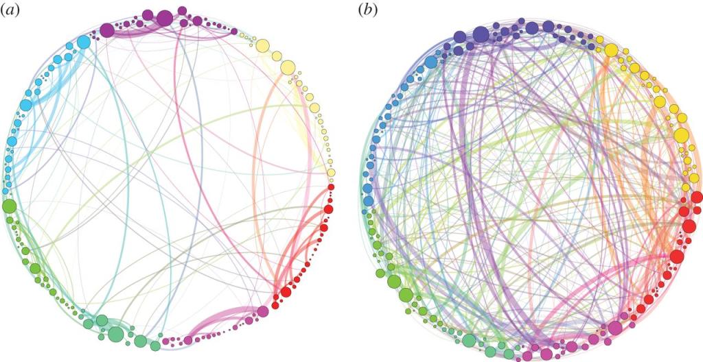 Brain connectivity on a placebo (left) showing some colorful connected lines vs. on psilocybin (right) showing many more connected colorful lines. Image from a brain study in the Journal of the Royal Society Interface.