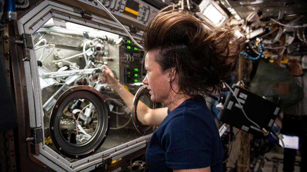 A NASA astronaut works with scientific equipment aboard the International Space Station.